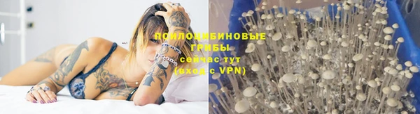 a pvp Алексин